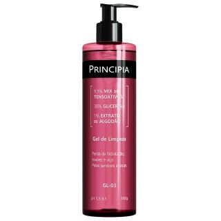 GEL DE LIMPEZA GL-03 350G